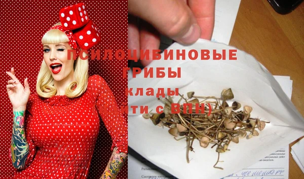ГАЛЛЮЦИНОГЕННЫЕ ГРИБЫ Елизово