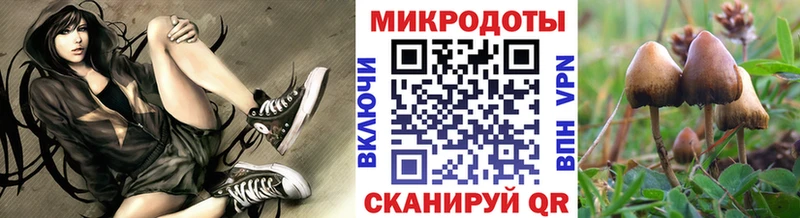 Галлюциногенные грибы Cubensis  hydra маркетплейс  это формула  Онега 