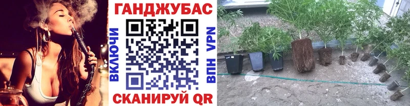 где купить наркотик  Онега  Канабис гибрид 